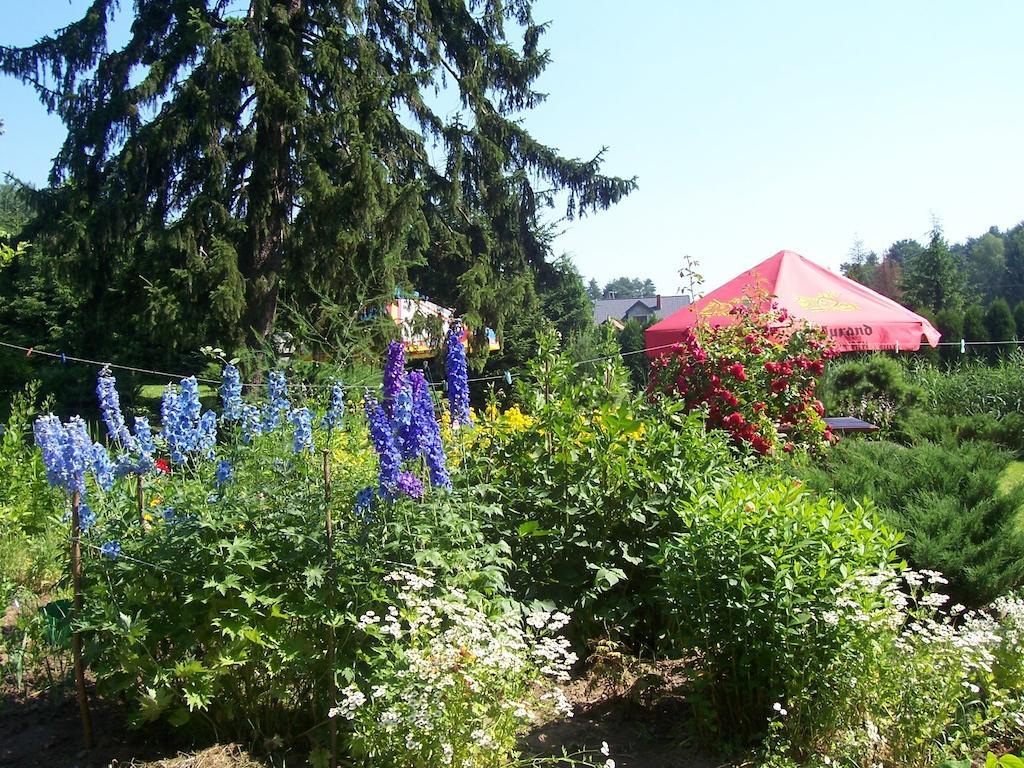 Gosciniec Nad Stawem Villa Szczytno  Dış mekan fotoğraf